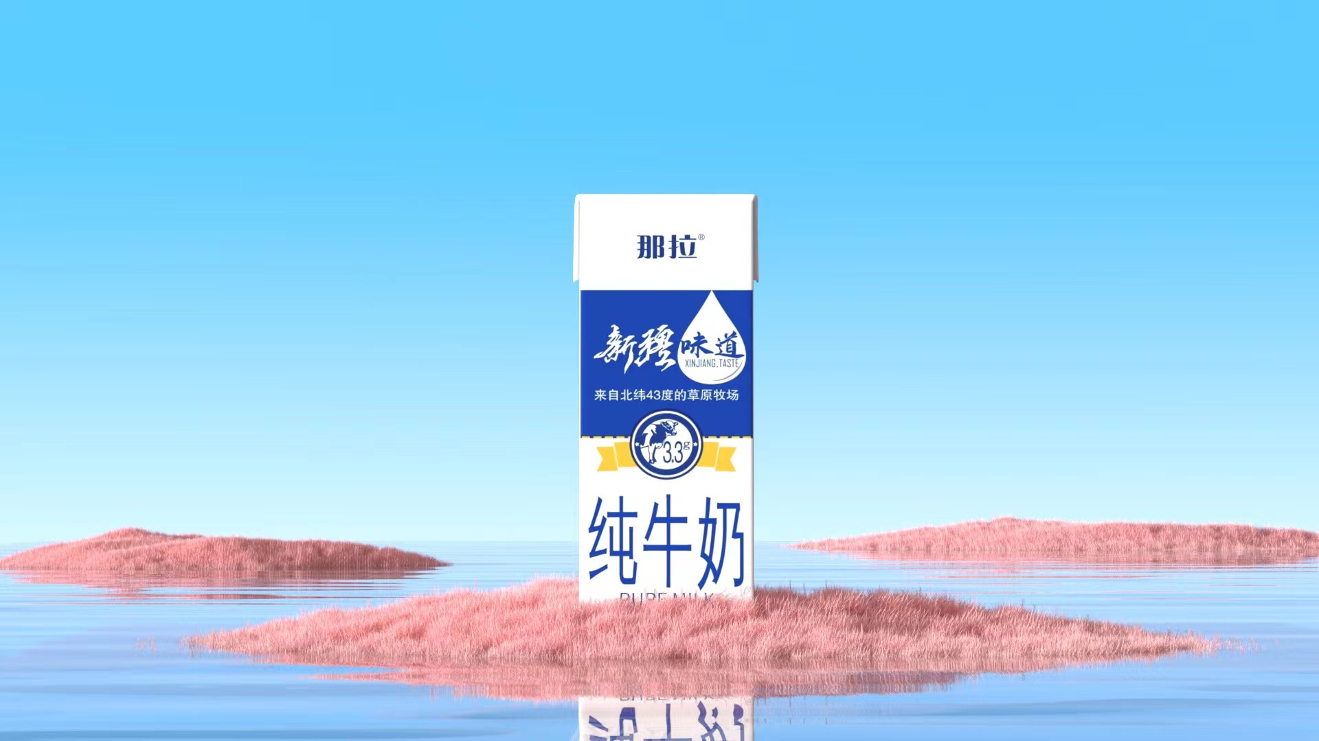 【上新了！】新品快來看看吧！